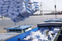 Năm 2019: Xuất khẩu lúa gạo tăng lượng nhưng giảm mạnh về giá trị