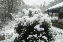 Đỉnh Fansipan có thể đón mưa tuyết dịp Tết Dương lịch