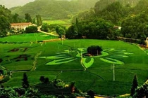 Thuật phong thủy của Lưu Bá Ôn giúp 260 người cùng làng làm quan