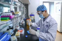 Trung Quốc công bố những kết quả đầu tiên của văcxin SARS-CoV-2 