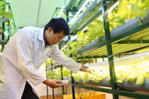 Đèn chuyên dụng điều khiển cây sinh trưởng theo ý muốn