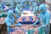 Mở rộng dòng chảy quan hệ thương mại Việt Nam-Lào