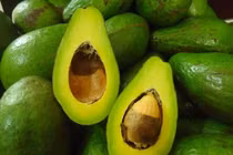 Xúc tiến đưa quả bơ sang Mỹ