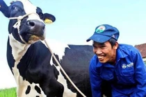 Tin đồn trên mạng xã hội: Biến tướng của truyền thông bất lương?