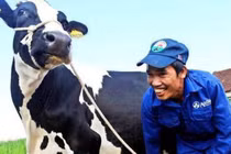 Tin đồn trên mạng xã hội: Biến tướng của truyền thông bất lương?