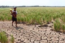 Hết chu kỳ La Nina, khô hạn gay gắt hơn