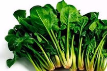  Tăng cường chức năng gan cho trẻ