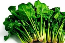  Tăng cường chức năng gan cho trẻ