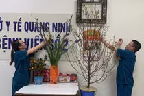 Tất niên trong bệnh viện dã chiến