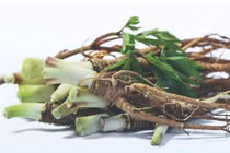 Đương quy: “Thánh dược” bổ máu