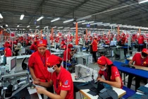 Việt Nam tăng trưởng ngược xu hướng sụt giảm của PMI châu Á