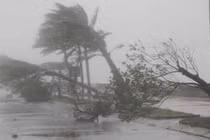 Phân biệt bão, áp thấp nhiệt đới và vòi rồng