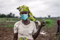 Cần giải pháp để người dân châu Phi thoát cảnh đói ăn