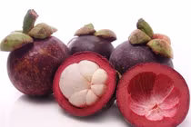 Chất quý từ cây sa kê và vỏ quả măng cụt