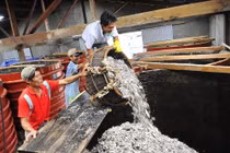 Nguồn cá suy kiệt, quốc gia nước mắm “đói” nguyên liệu