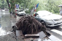 Hà Nội mưa lớn gây ùn tắc, cây xanh gãy đổ