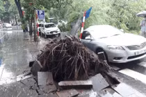 Hà Nội mưa lớn gây ùn tắc, cây xanh gãy đổ