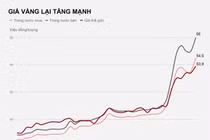 Vàng tăng trở lại, về mốc 56 triệu đồng/lượng
