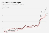 Vàng tăng trở lại, về mốc 56 triệu đồng/lượng