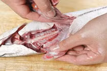 Khoái khẩu lòng cá, cả nhà nhiễm sán