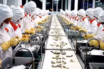  Công nghiệp chế biến, chế tạo giữ vai trò chủ lực trong phát triển kinh tế Việt Nam