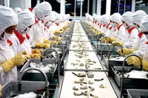  Công nghiệp chế biến, chế tạo giữ vai trò chủ lực trong phát triển kinh tế Việt Nam