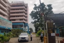 Yêu cầu xử lý nghiêm tiếp viên hàng không gây phát tán dịch nghiêm trọng