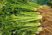 Sử dụng cần tây giữ huyết áp trong tầm kiểm soát