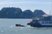 Cát Bà, Hải Phòng: Hai tàu va chạm, 1 nữ du khách tử vong