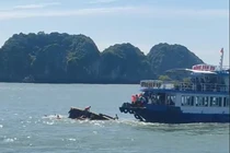 Cát Bà, Hải Phòng: Hai tàu va chạm, 1 nữ du khách tử vong