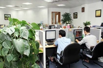 Thiết kế văn phòng xanh tránh bí, ô nhiễm