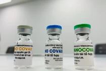 Giá vaccine Covid-19 tại Việt Nam dự kiến không quá 500.000 đồng