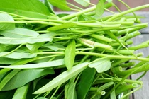 Rau muống giải nhiệt