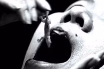 Nuốt thằn lằn chữa ung thư?