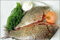 Món ăn thuốc từ cá diếc