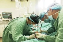 Sự thật virus gây viêm cơ tim