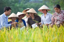 Kêu gọi giải quyết các khủng hoảng lương thực hiện đang ở mức báo động