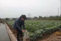 Máy bơm tự động tưới nước cho cây trồng