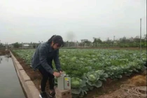 Máy bơm tự động tưới nước cho cây trồng