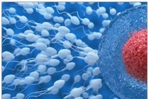 Chẩn đoán tình trạng sức khỏe quý ông qua màu sắc tinh dịch