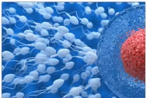 Chẩn đoán tình trạng sức khỏe quý ông qua màu sắc tinh dịch