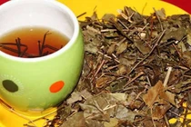 Vối trị đau đầu, mắt mờ