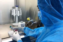 Hà Nội phát hiện thêm 1 ca dương tính với SARS-CoV-2 ở Đan Phượng