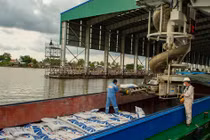 Giá phân bón tăng nóng và câu chuyện cân bằng lợi ích: Góc nhìn từ người trong cuộc