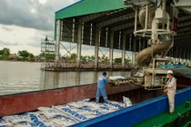 Giá phân bón tăng nóng và câu chuyện cân bằng lợi ích: Góc nhìn từ người trong cuộc