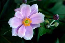 Thuật toán tích hợp dữ liệu đa cảm biến giúp máy móc nhận biết chính xác hơn 