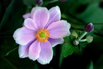 Thuật toán tích hợp dữ liệu đa cảm biến giúp máy móc nhận biết chính xác hơn 