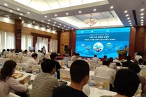 Phát hiện nhiều hợp chất quý giá trong sa sâm Việt Nam