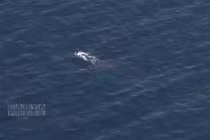 Hải quân Iran phát hiện và “tóm sống” tàu ngầm tấn công Mỹ trên Ấn Độ Dương