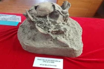 Vén bức màn bí ẩn về cuộc sống của người tiền sử 